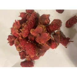 Granat Kwiat Cały 100 G